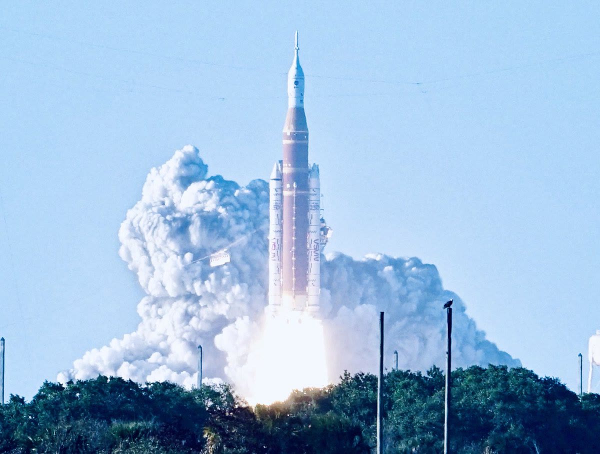 A bald eagle watches the launch of Artemis II