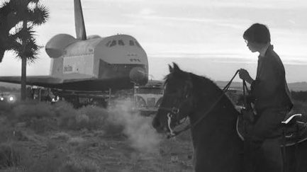 A horse and a space shuttle