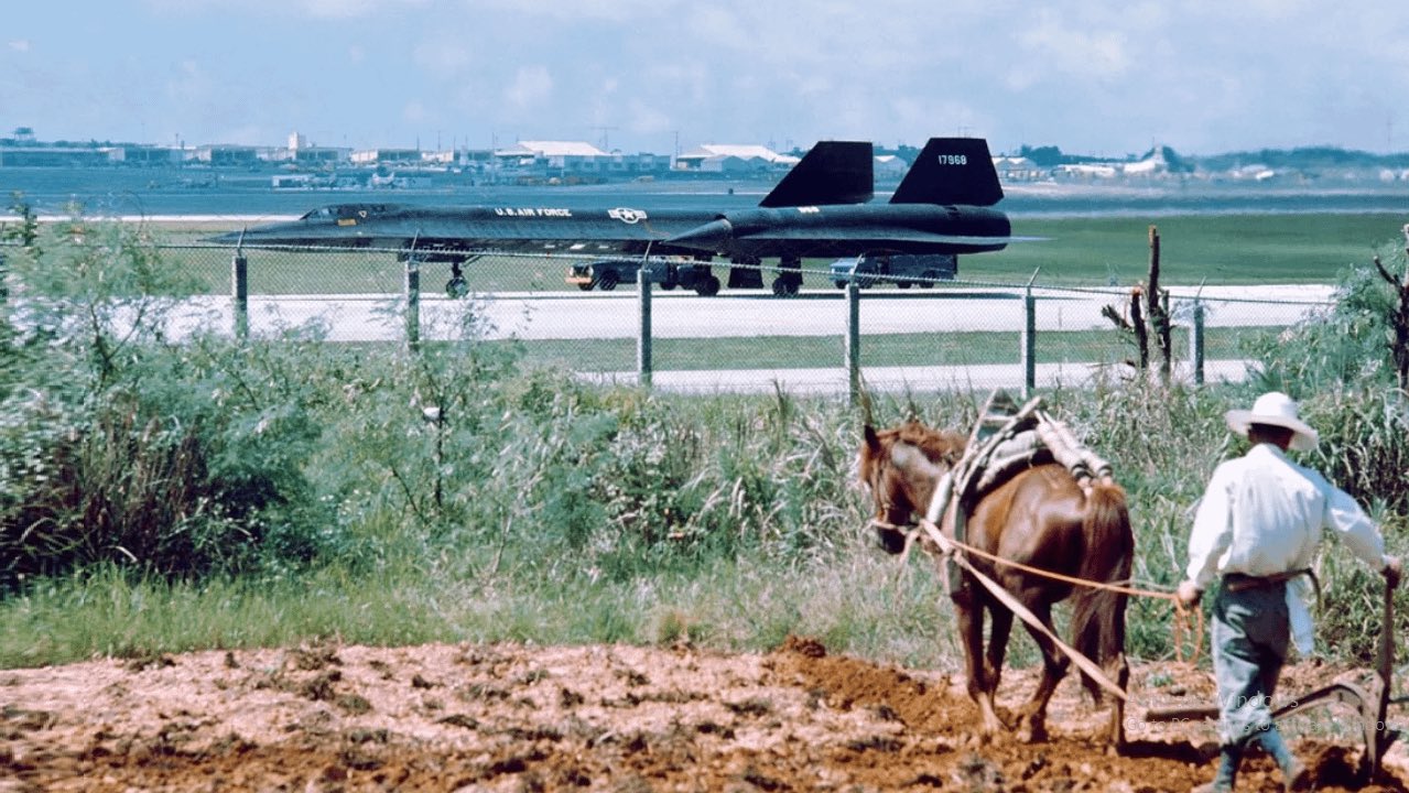 A horse and SR-71