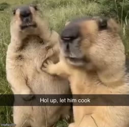 Hol up