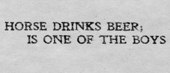 Horse Drink Beer, Is One Of The Boys