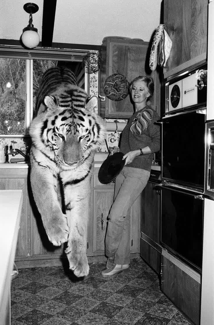 Tippi Hedren with her pet tiger, 1982