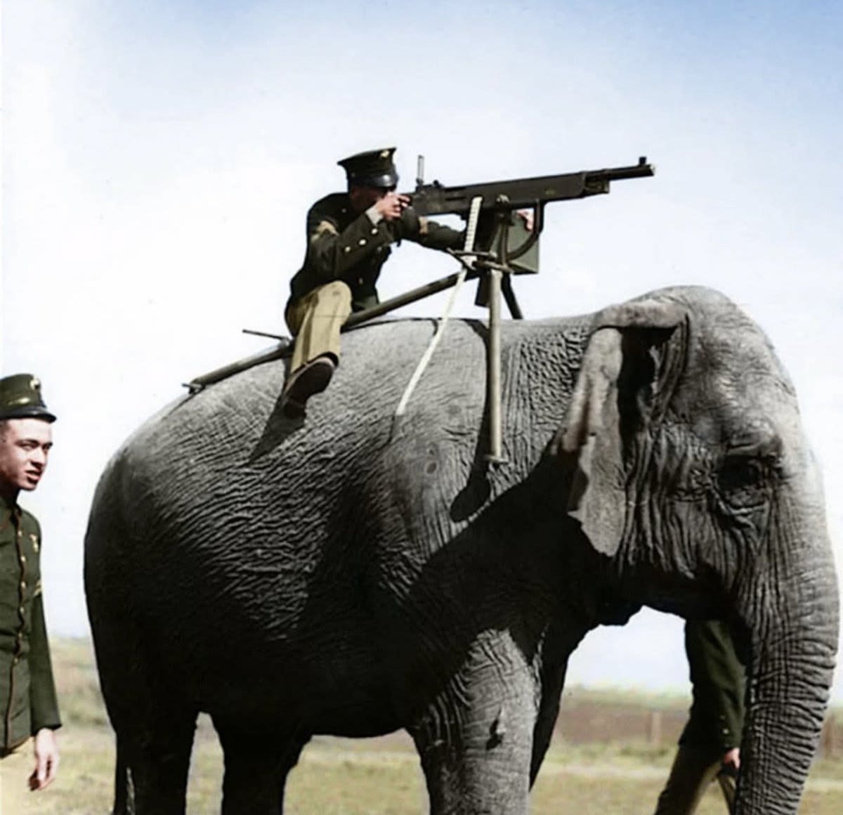 U.S Marine Corporal aiming with a Colt M1895 machine-gun on top of an elephant, 1914
